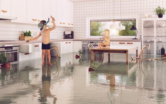 Do Homeowners Associations Have Emergency Powers?