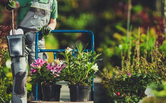 Navigating Peak Violation Season: Turn Summer Stress Into Success